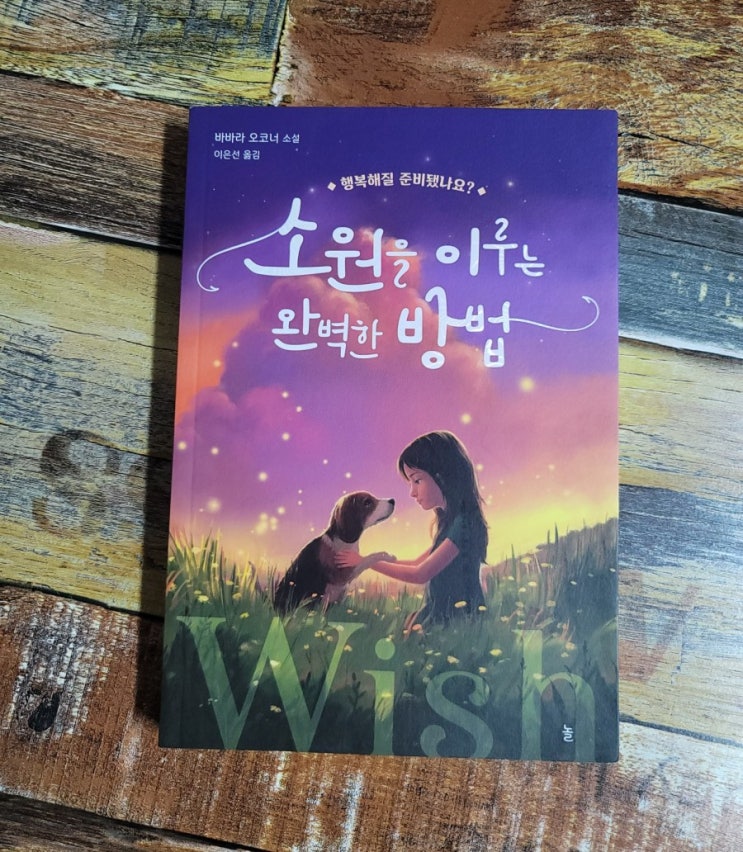  [독서] 소원을 이루는 완벽한 방법 - 작가 바바라 오코너 (Babara O'connor), 놀(다산북스)  2021.02.01성장 소설 추천, 청소년 추천소설, 베스트셀러