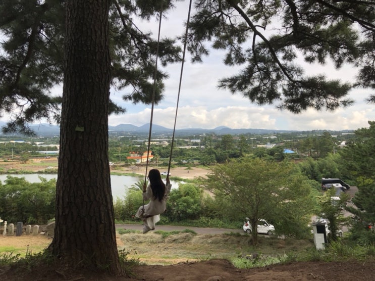  0830-0904 제주여행 첫째날_2 명월국민학교, 수산봉그네 , 스벅용담점