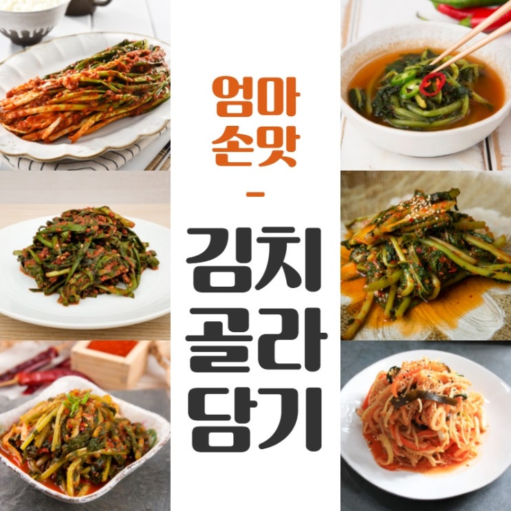 구매평 좋은 가정식밑반찬 집밥반찬 6종 김치모음, ㄱ. 파김치 1kg 추천해요 구매평 좋은 가정식밑반찬 집밥반찬 6종 김치모음, ㄱ. 파김치 1kg 추천해요