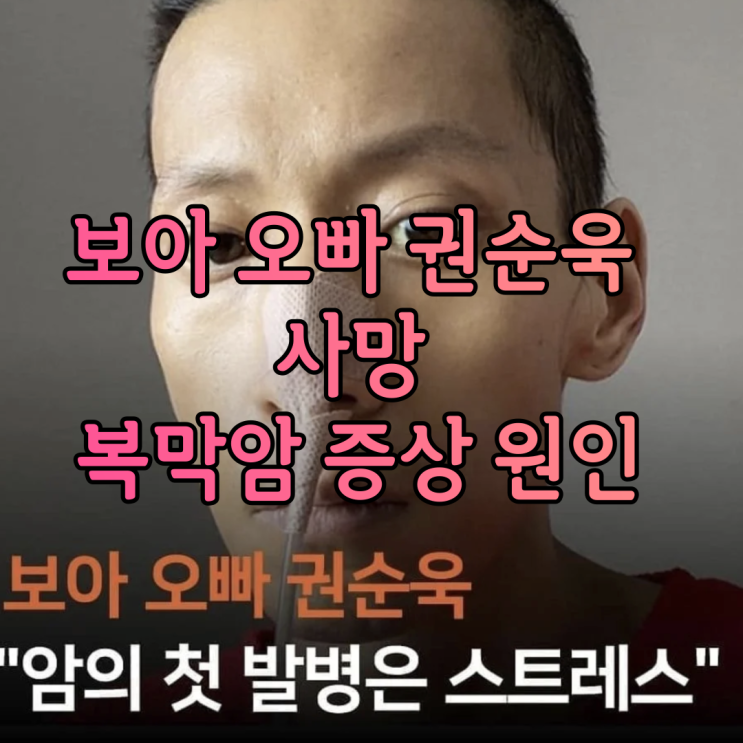 보아 오빠 권순욱 별세 사망 복막암 증상 원인 보아 오빠 권순욱 별세 사망 복막암 증상 원인