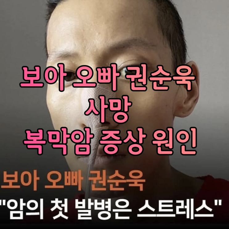 보아 오빠 권순욱 별세 사망 복막암 증상 원인