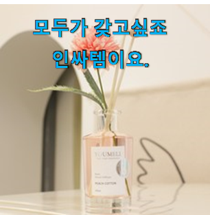 엄선된 쿤달디퓨저 물건 리스트 선물하기에도 좋은듯 해요 엄선된 쿤달디퓨저 물건 리스트 선물하기에도 좋은듯 해요