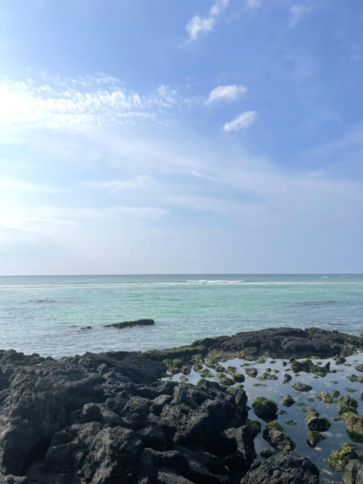  #August Jeju
