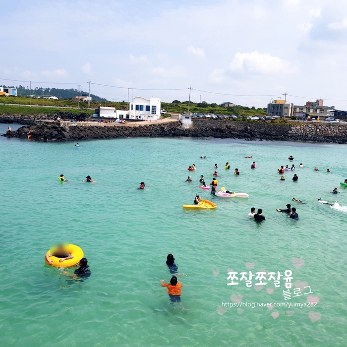 아이와 함께 제주한달 12일차-여기가 [판포포구]입니다.