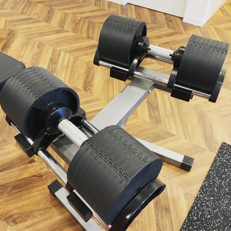 선호도 높은 무게조절 덤벨 30kg 40kg 누오아령, 블랙 + 20kgg 추천해요 선호도 높은 무게조절 덤벨 30kg 40kg 누오아령, 블랙 + 20kgg 추천해요