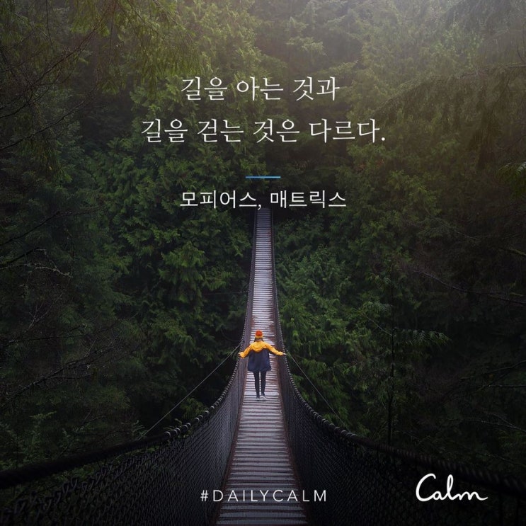  좋은 명상 공유는 못 참지 [feat. 명상의 습관화]
