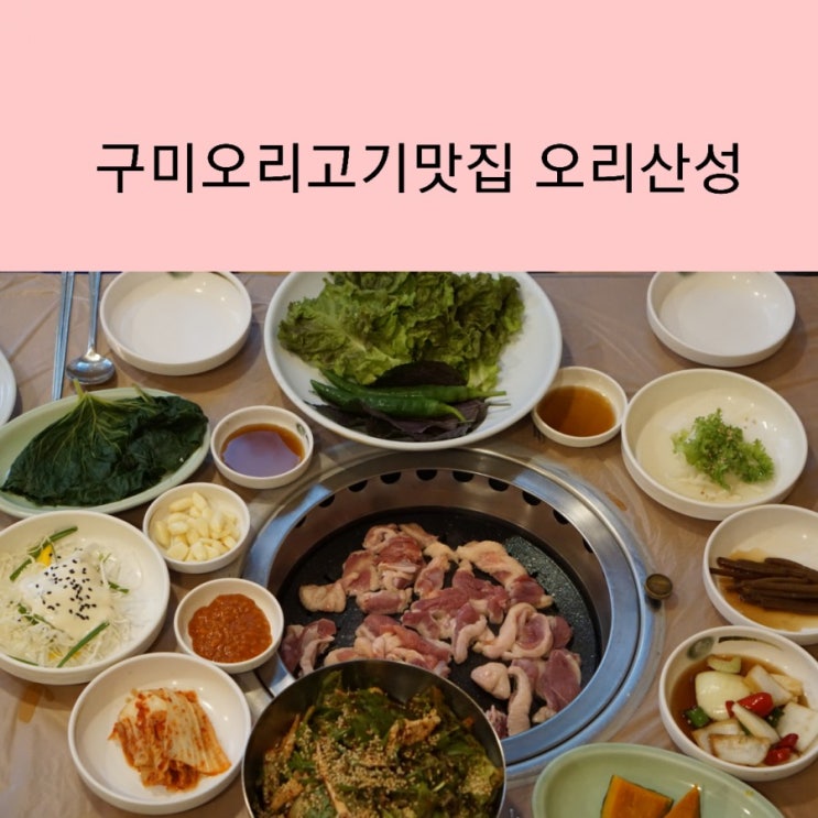  구미 오리 고기맛집 금오산 오리산성 생오리구이 찐 맛집