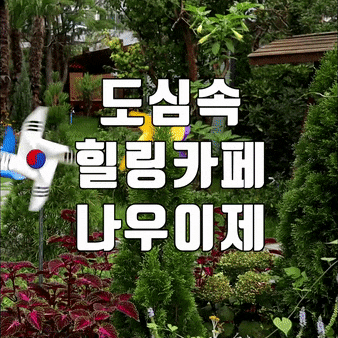  울산 카페 추천 힐링 되는 정원이 매력적인 나우이제