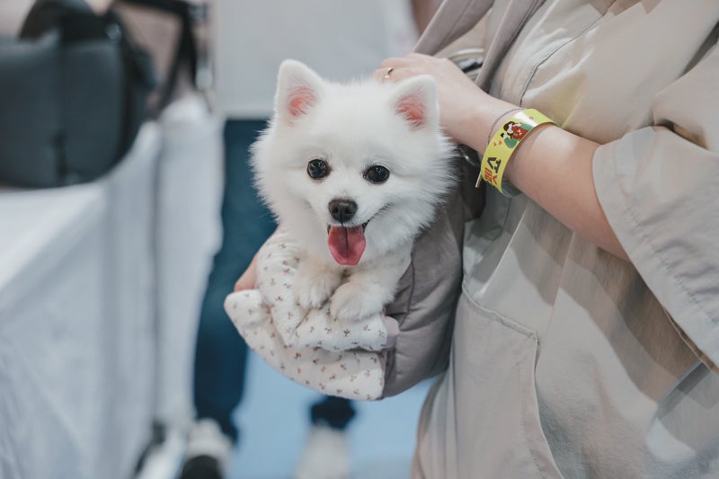 사진 6