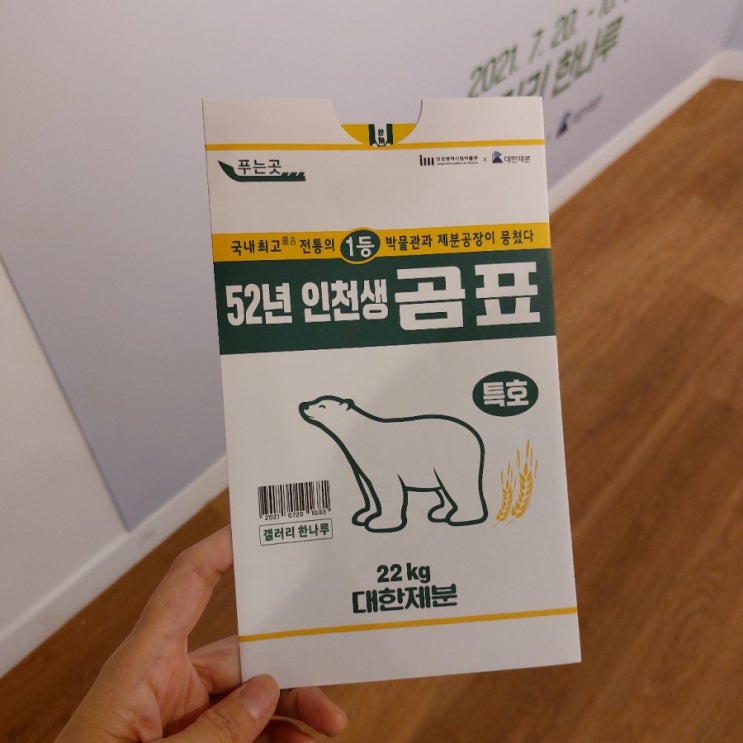  인천 시립박물관 / 52년 인천생 곰표 전시 / 수중유물, 고려바다의 흔적 전시 관람 후기 : )