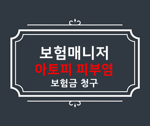  메리츠화재 실손의료비 피부염 보험청구