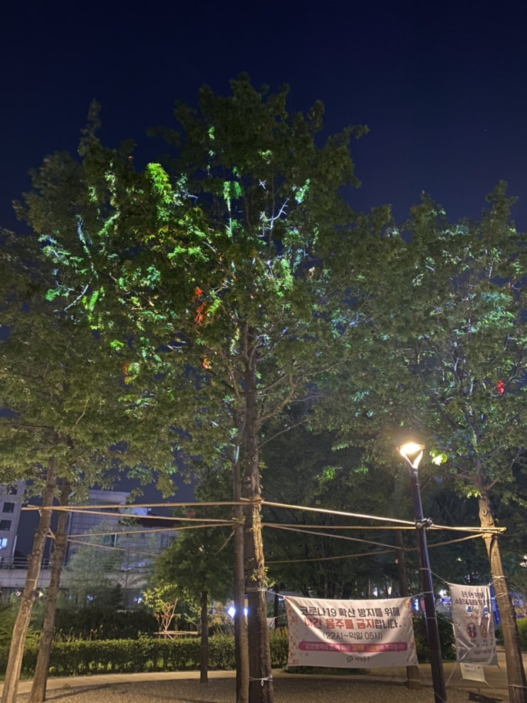  밤 산책