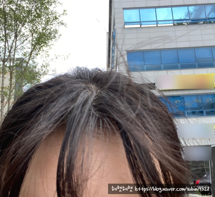  헤헷 Daily