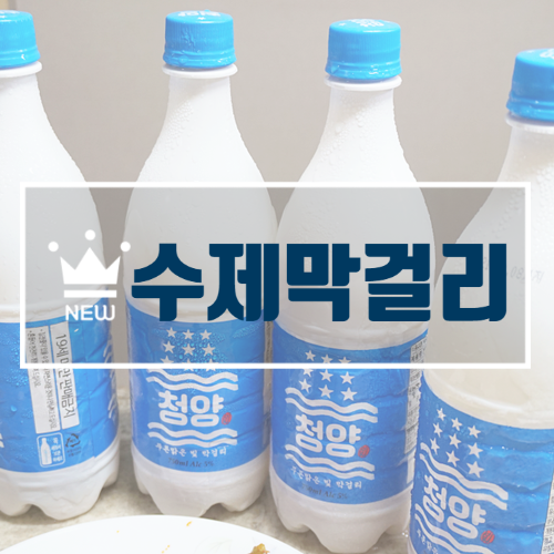  신상막걸리 순한 매력의 청양막걸리