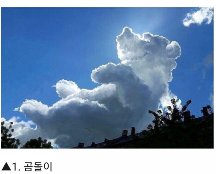  우연히라도 찍을수 없는 구름 사진~