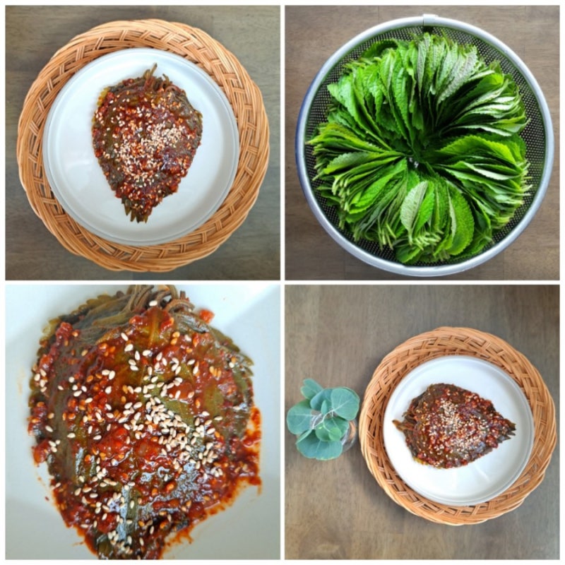 깻잎 삭히기, 깻잎 소금물에 삭히는 법, 깻잎장아찌 양념하는 법