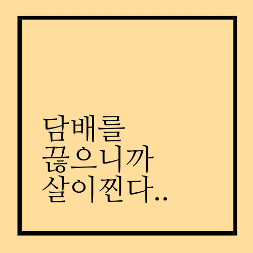 담배를 끊었더니 살이 찐다..(금단현상이 자꾸..)