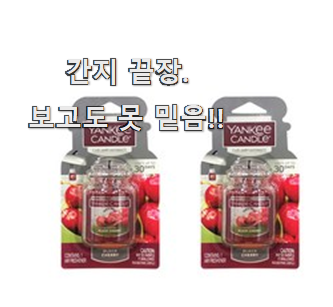  행복한선택 양키캔들차량용방향제 핫 리스트 확실한 정보네요.
