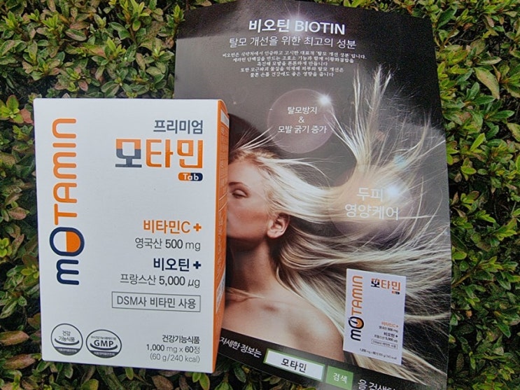  비오틴비타민 모방영양제추천 모타민!
