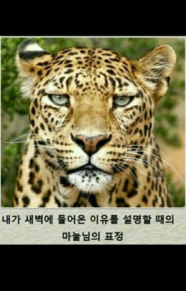 아내의 표정