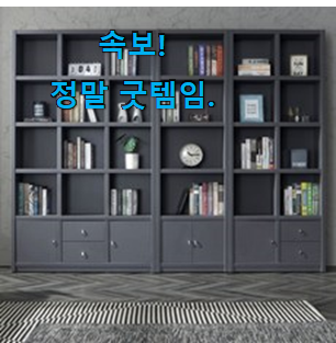소유하고파 책장겸수납장 추천상품 리뷰 선물로도 좋을거같네요 소유하고파 책장겸수납장 추천상품 리뷰 선물로도 좋을거같네요
