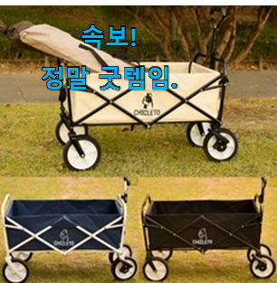 유행예감 캠핑웨건 선택 부모님도 좋아해요 ㅋ 유행예감 캠핑웨건 선택 부모님도 좋아해요 ㅋ