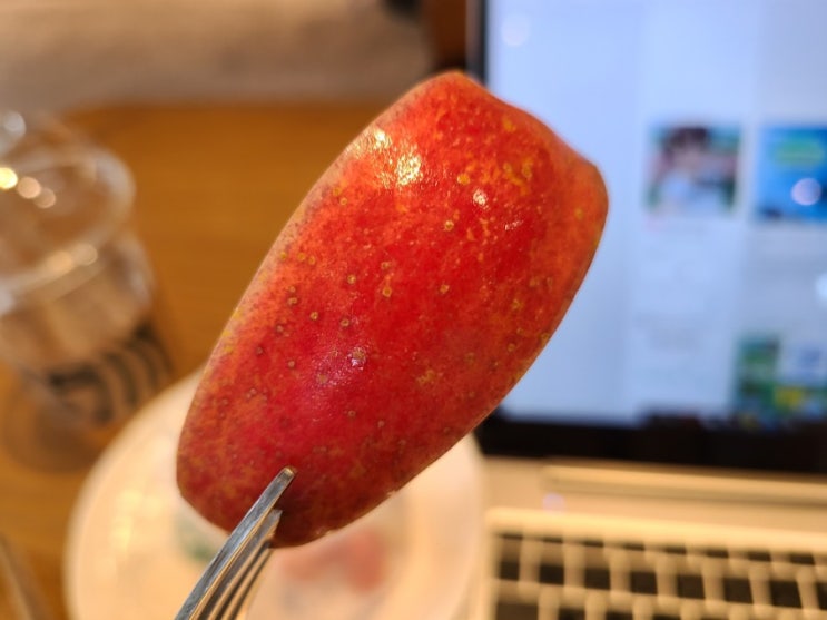  스타벅스과일컵 하루한컵 레드 