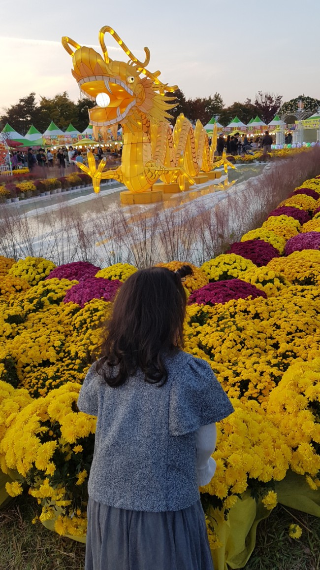  전남축제-광주근교 아이와가볼만한곳  장성황룡강축제