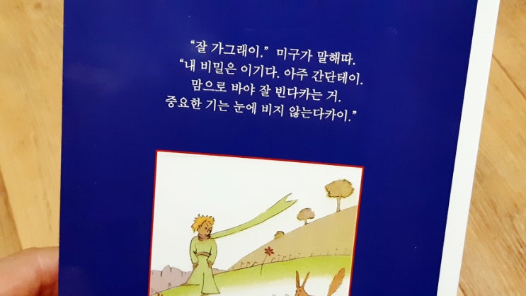 애린왕자, 경상도 사투리로 재해석된 어린왕자를 읽었다. 애린왕자, 경상도 사투리로 재해석된 어린왕자를 읽었다.