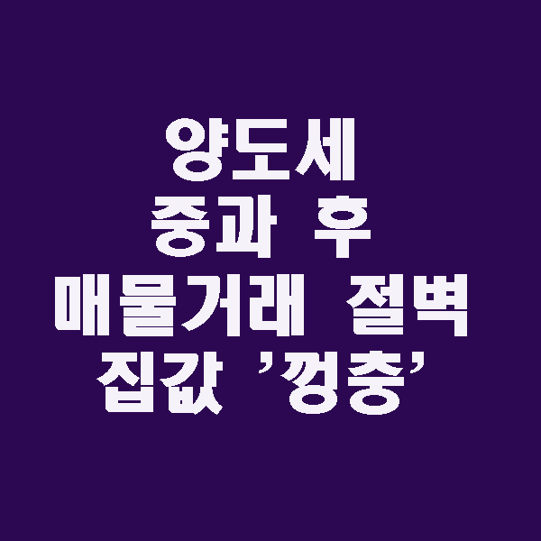  양도세 중과 후 매물 '뚝'…거래 절벽에도 집값 '껑충'