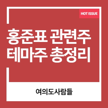  홍준표 관련주 테마주 총정리 해봤어요