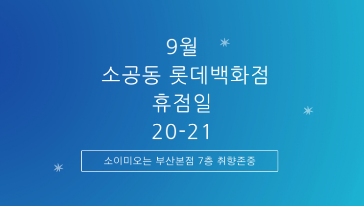  롯데백화점 휴무일, 소공동 롯데백화점 본점 휴무일