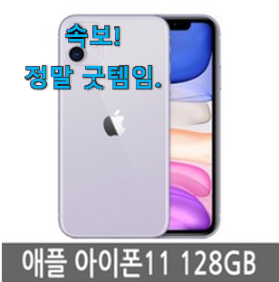 요즘대세 아이폰11 베스트 인싸템 부모님도 맘에 들어해요 요즘대세 아이폰11 베스트 인싸템 부모님도 맘에 들어해요