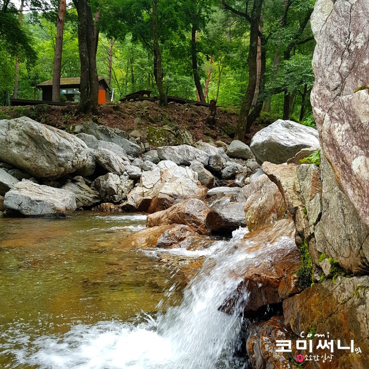 [강원도 양양] 국립 미천골 자연휴양림 제1야영장 야영데크117 미천골 계곡 물놀이 가능한 휴양림 (제1야영장, 제2야영장, 오토캠핑장 둘러보기)