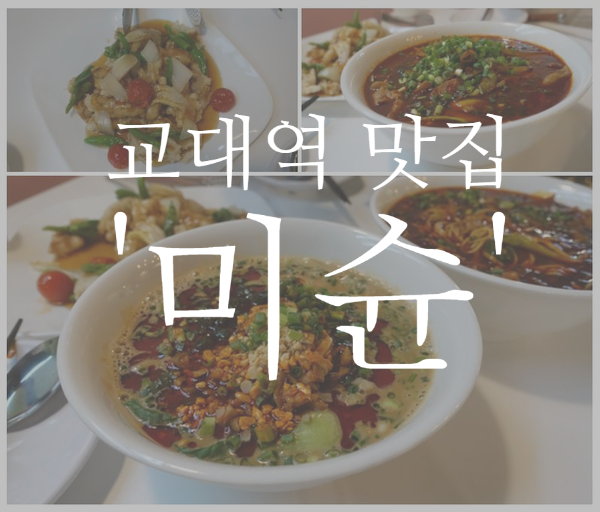  [서초] 곱창국수랑 탄탄면 먹으러 또 가고 싶은 '미슌'