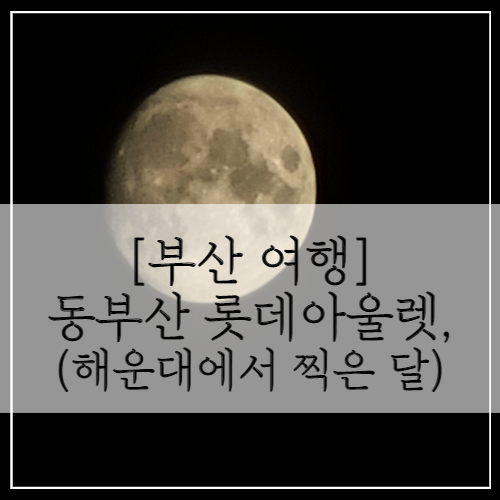 [부산 여행] 롯데 동부산 아울렛, 이케아(feat. 해운대에서 찍은 달)