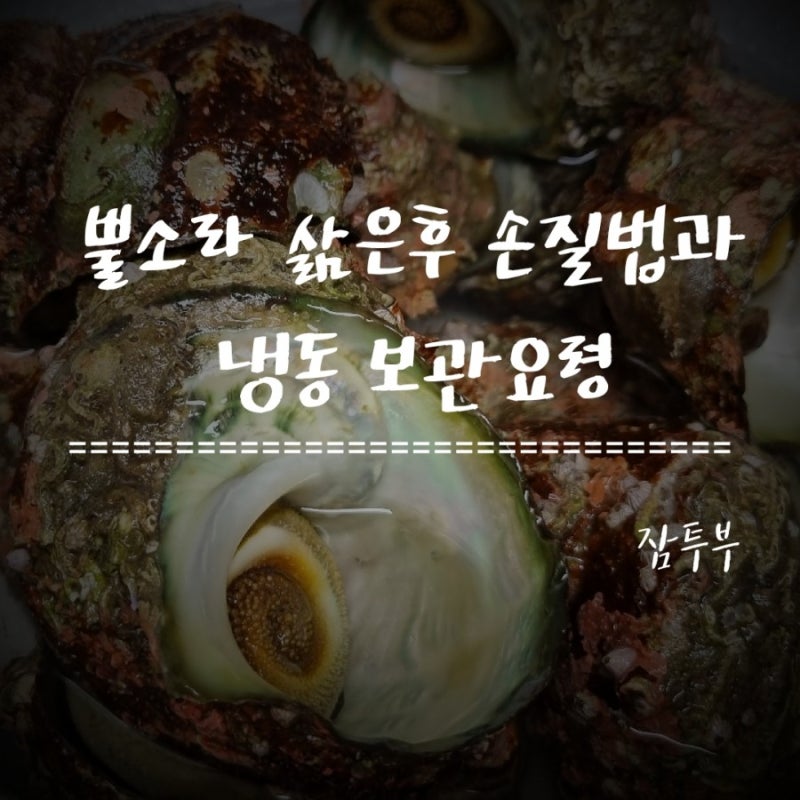뿔소라 삶는 법.손질 법.냉동보관 법