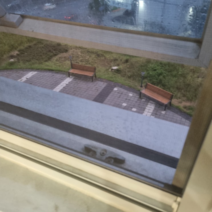  초파리 구더기 쓰레기에 바글바글...