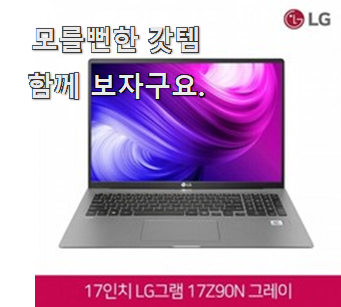  오늘의 lg노트북그램15인치 핫 리뷰 소소한 행복 ㅎㅎ..