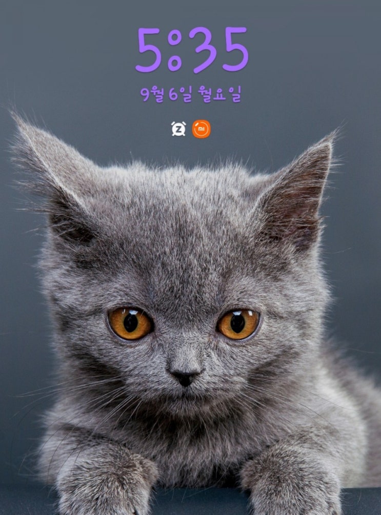  [미라클 모닝 D-80]  잘 될 운명 안 될 운명 그리고 인연에 관한 이야기