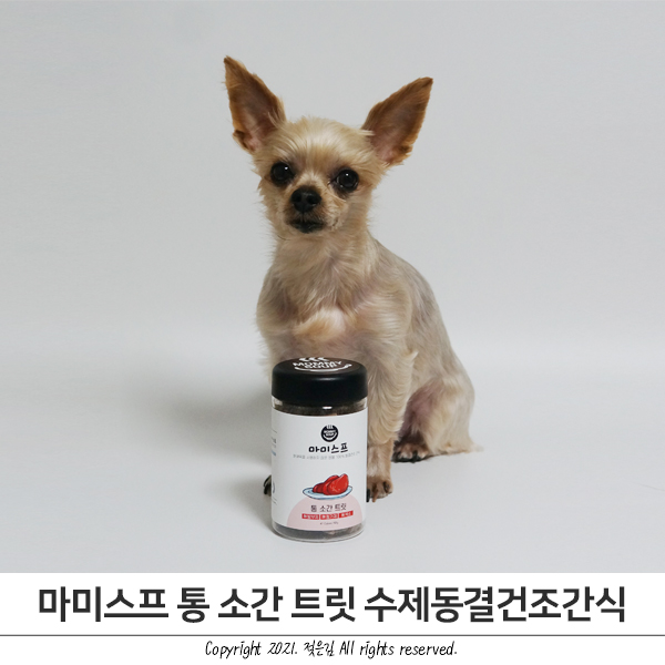 건강한 강아지간식 방이가 좋아하는 마미스프 통 소간 트릿 건강한 강아지간식 방이가 좋아하는 마미스프 통 소간 트릿