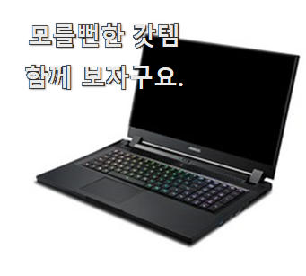  품절주의 게이밍노트북 나만의 선택 안사곤 못배기겠어요 ㅋㅋ