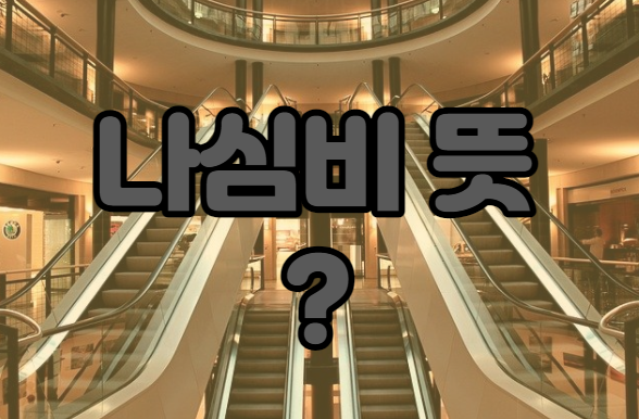  나심비 뜻 가치추구의 삶을 살자 !!