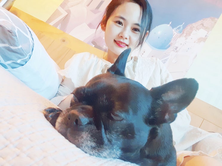  강릉애견펜션 해피몽 대관령 근처라 공기 참 좋아요