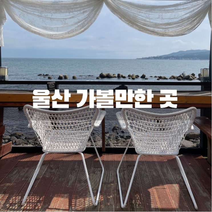울산 가볼만한 곳! 해변가 투어 (주전 / 정자 해변투어) Feat. 맛집 뷰깡패 카페 소개