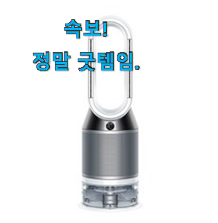 누구보다 확실한 다이슨공기청정기 인기 추천이라구요 누구보다 확실한 다이슨공기청정기 인기 추천이라구요