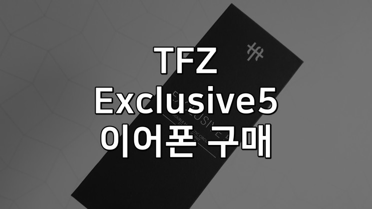 TFZ 익스5 (Exclusive5) 구매 - 추억을 귀에 때려넣다.