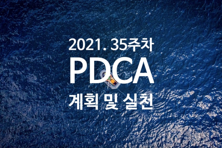  2021년 계획과 실천 35주차 점검 [변화의 시작은 오늘부터]