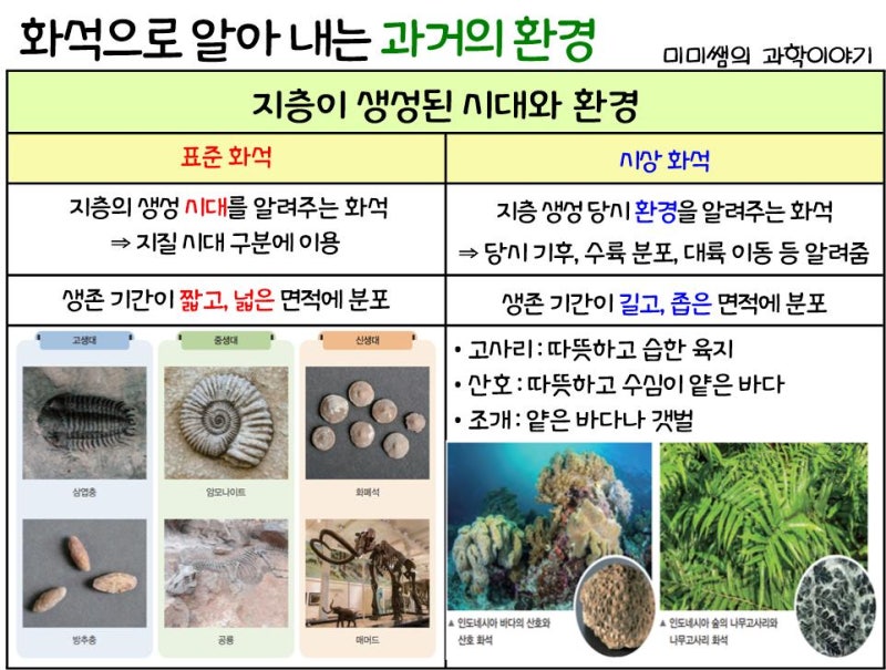 [수업계획] 지질 시대의 환경과 생물 다양성 - 화석, 지질시대, 대멸종, 생물 다양성 등 : 네이버 블로그