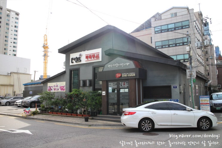  영등포구청역 맛집 더함 - 당산무관과 깍둑등심의 전설